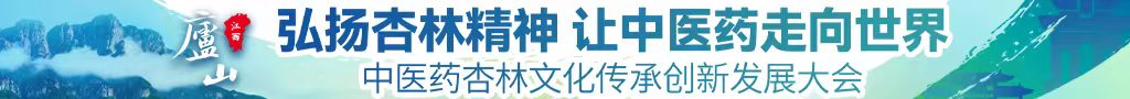 日本肏穴中医药杏林文化传承创新发展大会